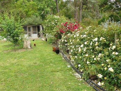 Camawald Coonawarra Cottage B&B - Accommodation in Surfers Paradise 3