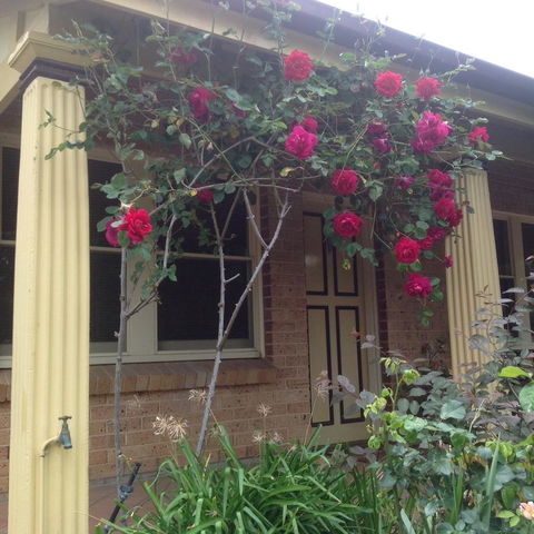 Oats Cottage - Accommodation in Surfers Paradise 3