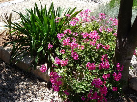 Country Bakehouse Accommodation - Accommodation in Surfers Paradise 18