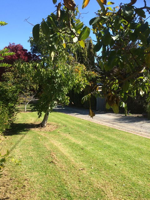 Vineyard Cottage BnB - Accommodation in Surfers Paradise 17