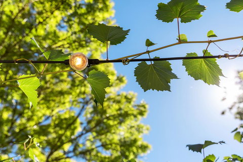 Adelaide Hills Retreats - Accommodation in Surfers Paradise 32