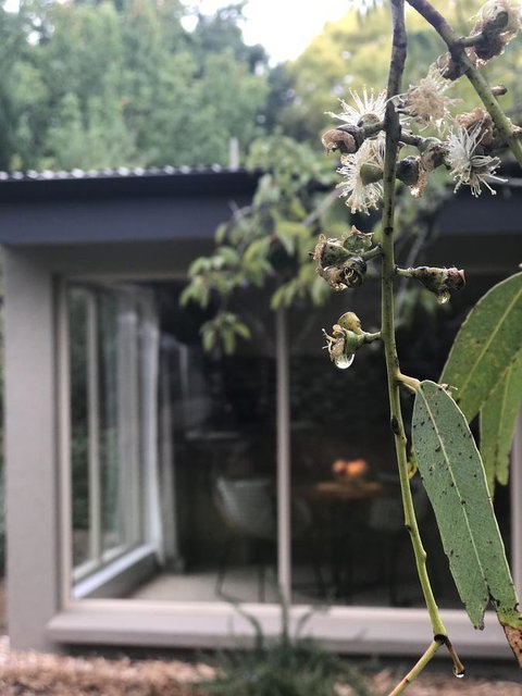 Adelaide Hills Retreats - Accommodation in Surfers Paradise 9