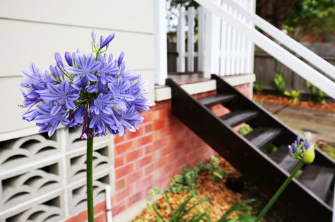 Hudson Bay @ Basin View-Pet Friendly-15 Mins To Hyams Beach - Accommodation in Surfers Paradise 38