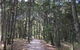 Brunswick Heads Treetop Studio - thumb 8