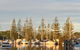 Brunswick Heads Treetop Studio - thumb 24