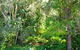 Brunswick Heads Treetop Studio - thumb 20