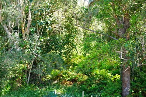 Brunswick Heads Treetop Studio - Accommodation in Surfers Paradise 20