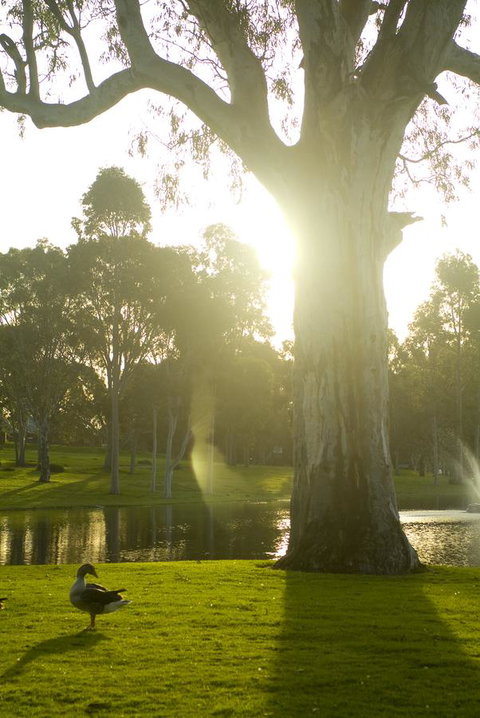 Serafino McLaren Vale - Accommodation in Surfers Paradise 15