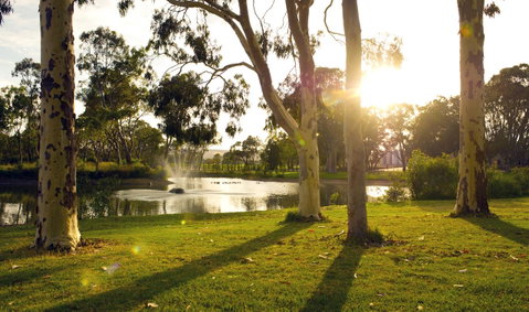 Serafino McLaren Vale - Accommodation in Surfers Paradise 14