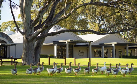 Serafino McLaren Vale - Accommodation in Surfers Paradise 0