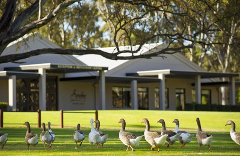 Serafino McLaren Vale - Accommodation in Surfers Paradise 17