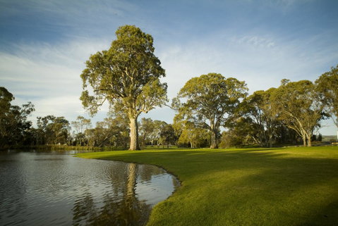 Serafino McLaren Vale - Accommodation in Surfers Paradise 16