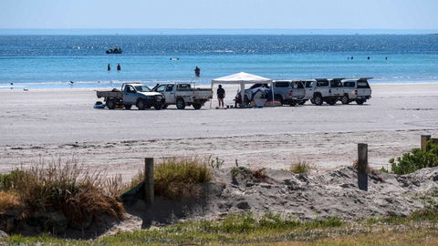 Wallaroo Holiday Park - Accommodation in Surfers Paradise 9