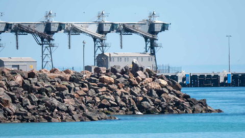 Wallaroo Holiday Park - Accommodation in Surfers Paradise 6