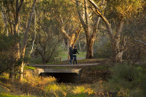 BIG 4 Barossa Tourist Park - Accommodation in Surfers Paradise 26