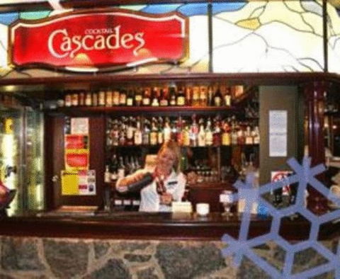 Snowy Gums Chalet - Accommodation in Surfers Paradise 10