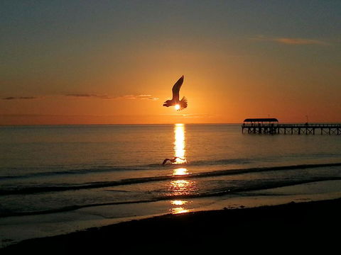 Adelaide Luxury Beach House - Accommodation in Surfers Paradise 37