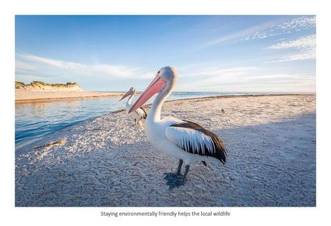 Adelaide Luxury Beach House - Accommodation in Surfers Paradise 25