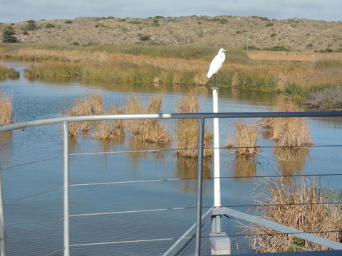 PS Federal Retreat Paddle Steamer Goolwa - Accommodation in Surfers Paradise 11
