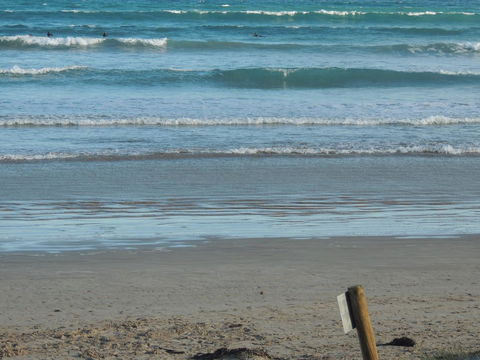 PS Federal Retreat Paddle Steamer Goolwa - Accommodation in Surfers Paradise 14