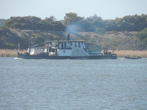 PS Federal Retreat Paddle Steamer Goolwa - Accommodation in Surfers Paradise 10