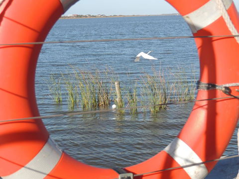 PS Federal Retreat Paddle Steamer Goolwa - Accommodation in Surfers Paradise 18
