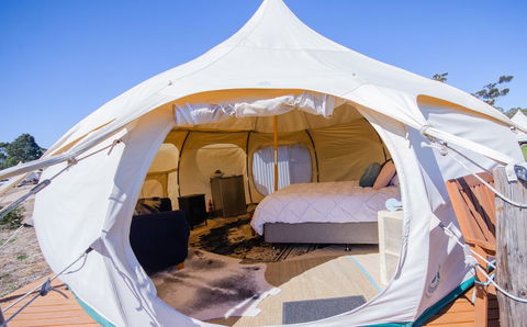 Bukirk Glamping & Fancy Coops - Accommodation in Surfers Paradise 7