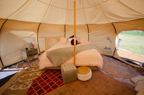 Bukirk Glamping & Fancy Coops - Accommodation in Surfers Paradise 4