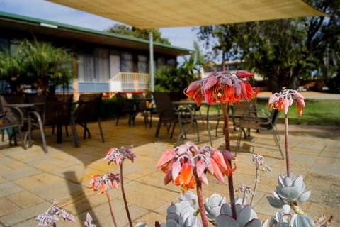 Kangaroo Island Seaview Motel - Accommodation in Surfers Paradise 3