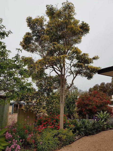 Sinclair Cottage - Accommodation in Surfers Paradise 25