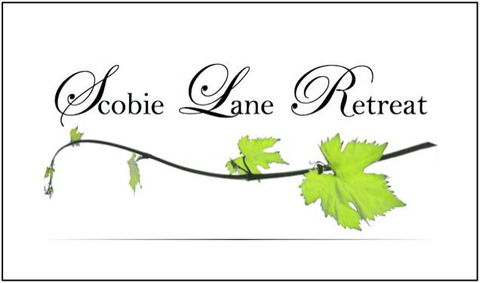 Scobie Lane Retreat - Accommodation in Surfers Paradise 15