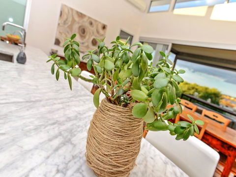 Muse On The Murray - Accommodation in Surfers Paradise 25