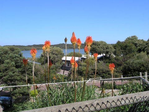 Lakeside Tourist Park - Accommodation in Surfers Paradise 3