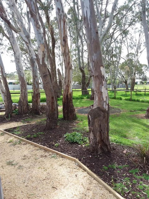 Cloisters Of Kalangadoo - Accommodation in Surfers Paradise 6