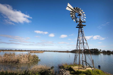 Limestone Ridge - Accommodation in Surfers Paradise 16