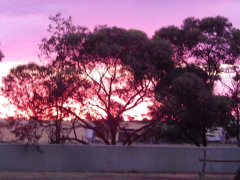 Wudinna Gawler Ranges Motel And Caravan Park - Accommodation in Surfers Paradise 11