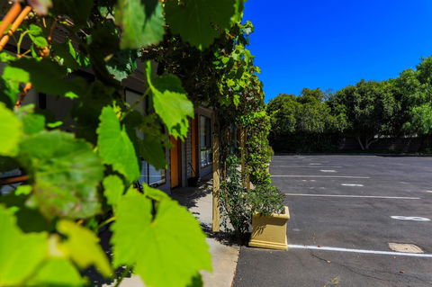 Country Roads Motor Inn Naracoorte - Accommodation in Surfers Paradise 16