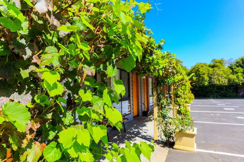 Country Roads Motor Inn Naracoorte - Accommodation in Surfers Paradise 18