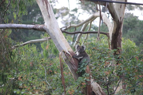 Pirralilla Estate Adelaide Hills - Accommodation in Surfers Paradise 24