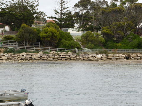 Island Motel Kingscote - Accommodation in Surfers Paradise 4