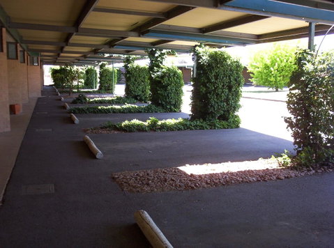 The Wine Vine Hotel - Accommodation in Surfers Paradise 17