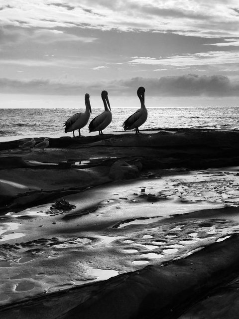 Stylish 3 Bedroom Beachview Apartment - Accommodation in Surfers Paradise 22