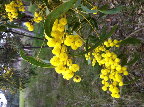 Clare Valley Cabins - Accommodation in Surfers Paradise 31