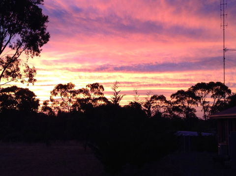 Clare Valley Cabins - Accommodation in Surfers Paradise 8