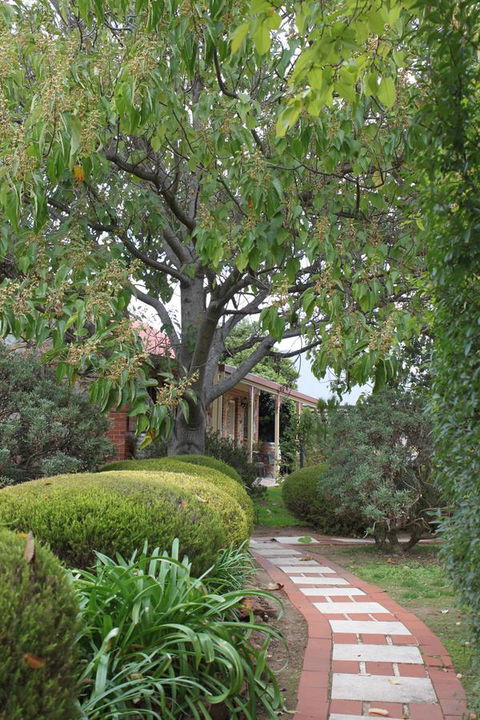 Langmeil Cottages - Accommodation in Surfers Paradise 2