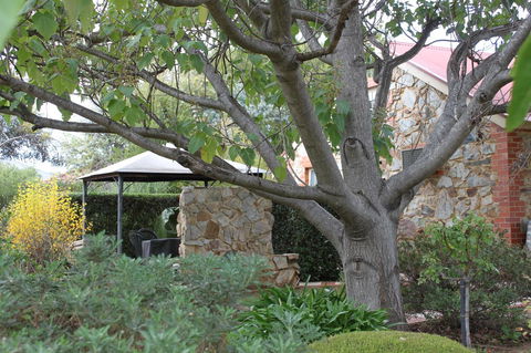 Langmeil Cottages - Accommodation in Surfers Paradise 3