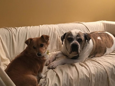 KI Dragonfly Guesthouse - Accommodation in Surfers Paradise 34