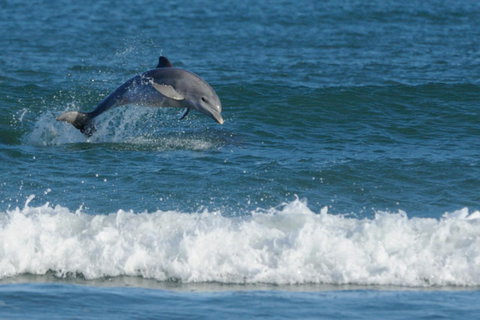 SummerHills Retreat Byron Bay - Accommodation in Surfers Paradise 25