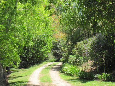 SummerHills Retreat Byron Bay - Accommodation in Surfers Paradise 33