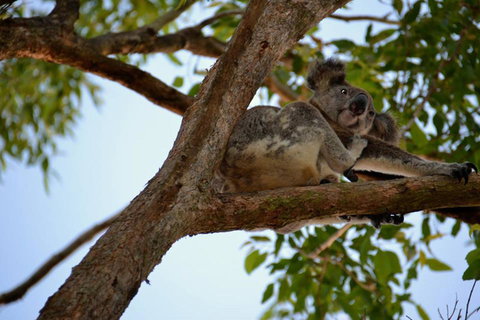 SummerHills Retreat Byron Bay - Accommodation in Surfers Paradise 36